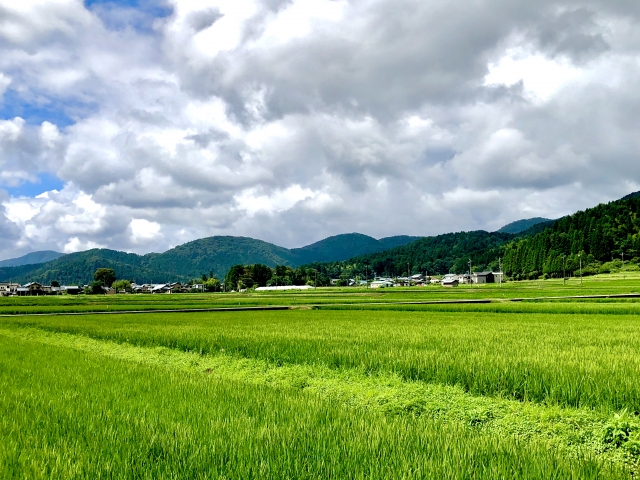 【お役立ち情報】岡山市の市街化調整区域　ルールが変わります