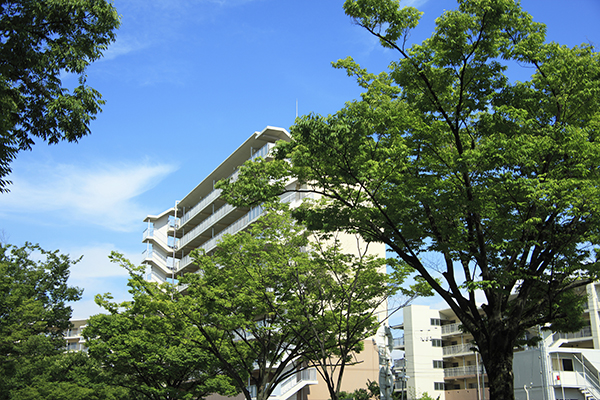 （3）自ら建物を建てる！